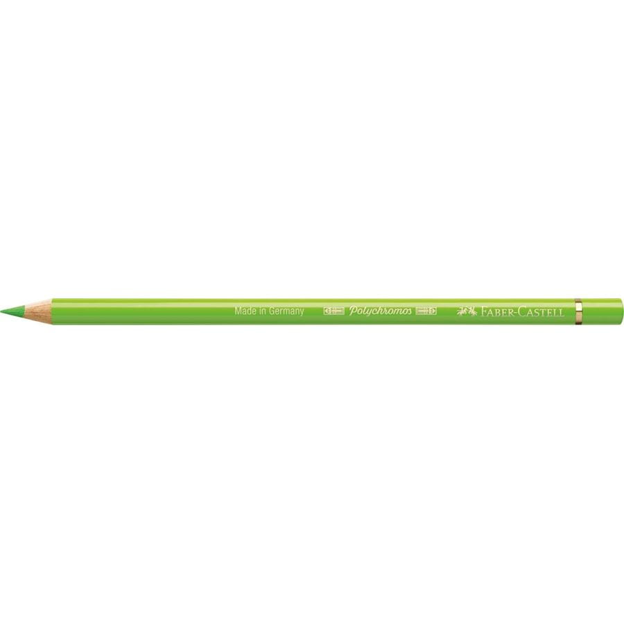 Faber-Castell - Polychromos colour pencil, 171 light green